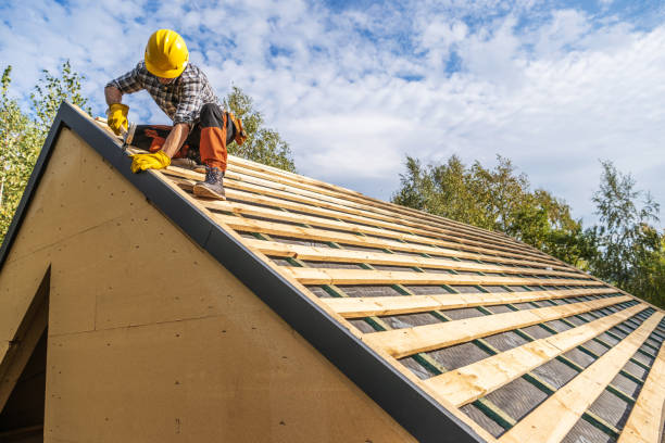 Best Roof Gutter Cleaning  in Howard, WI